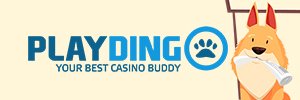 playdingo casino logo