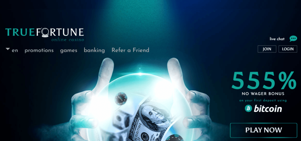 True Fortune Online Casino Screenshot