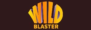 wildblaster logo